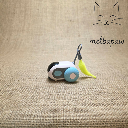 Kitty Racer Interactive Toy