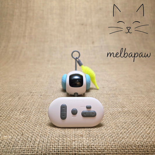Kitty Racer Interactive Toy